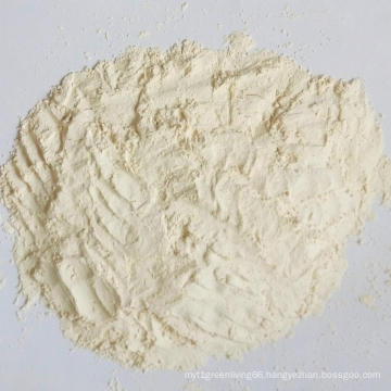 Dried Garlic Powder 100-120 Mesh Supplied by Factory